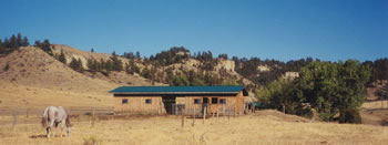 Eagle Cliff Lodging Stables